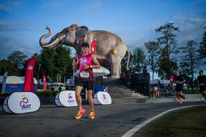 BIB: 
                            <button type="button" onclick="openModal(26541899)" class="btn btn-primary btn-sm float-right btn-popup" data-toggle="modal" data-target=".modal-high-quality">
                        <i class="fas fa-shopping-cart"></i> Add to Cart
                    </button>
                                            <button type="button" onclick="isThisMe(26541899, true)" class="btn btn-success btn-sm float-right btn-popup btn-isme hidden" data-toggle="tooltip" data-placement="bottom" title="นี่คือรูปของคุณใช่ไหม คลิกที่นี่เพื่อเอาเข้าอัลบั้ม">
                        <i class="fas fa-plus"></i> Add to album
                    </button>
                    <button type="button" onclick="isThisMe(26541899, false)" class="btn btn-warning btn-sm float-right btn-popup btn-isnotme hidden">
                        <i class="fas fa-ban"></i> Remove from album
                    </button>